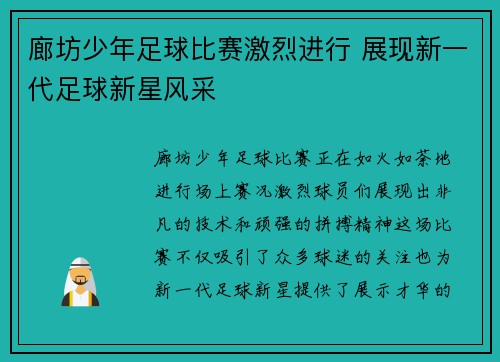 廊坊少年足球比赛激烈进行 展现新一代足球新星风采