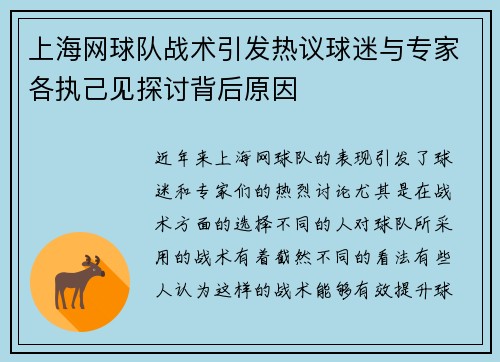 上海网球队战术引发热议球迷与专家各执己见探讨背后原因
